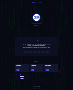 团队个人科技主页HTML源码-副业严选