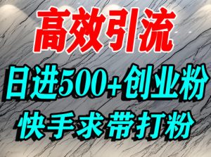 怎么打创业粉？快手求带视角精准引流创业粉，宝妈、学生群体日进500+精准流量-副业严选
