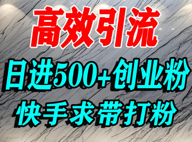 怎么打创业粉？快手求带视角精准引流创业粉，宝妈、学生群体日进500+精准流量 - 副业严选-副业严选