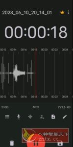 ASR Pro 录音机v545 专业版-副业严选