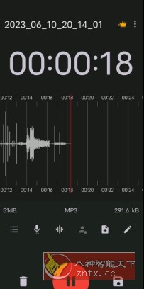 ASR Pro 录音机v545 专业版 - 副业严选-副业严选