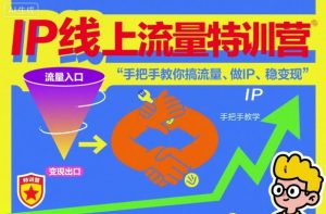 IP线上流量特训营，手把手教你搞流量、做IP、稳变现-副业严选