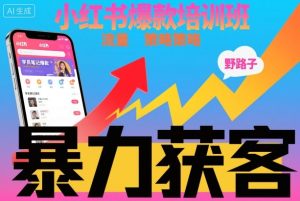 小红书爆款培训班，小红书获客野路子流量打法，暴力持续获客-副业严选