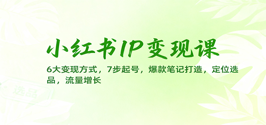 小红书IP变现课：6大变现方式，7步起号，爆款笔记打造，定位选品，流量增长 - 副业严选-副业严选