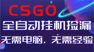 【副业好项目】全球火爆游戏CSGO自动捡漏，新手小白日入500+-副业严选