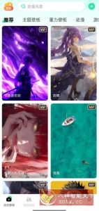 飞火动态壁纸v2.2.11高级版-副业严选