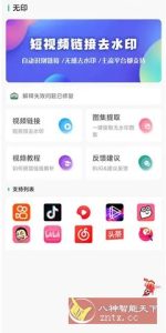 无印 v2.0免费版★视频解析去水印工具-副业严选