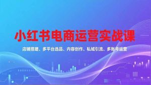 小红书电商运营实战课,店铺搭建、多平台选品、内容创作、私域引流、多账号运营等玩法-副业严选
