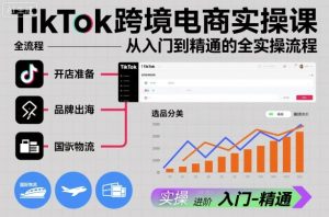 TikTok跨境电商实操课，从入门到精通的全实操流程-副业严选