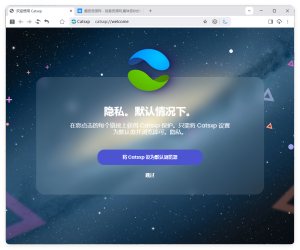猫眼浏览器v142.5.11.6便携版-副业严选