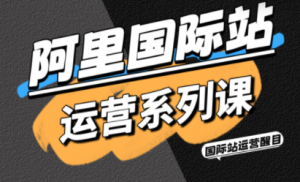 醒目老师·阿里国际站运营系列课(更新11月)-副业严选