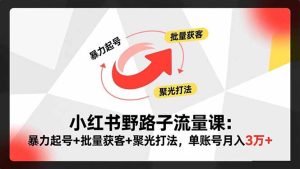 小红书野路子流量课：暴力起号+批量获客+聚光打法，单账号月入3万+-副业严选