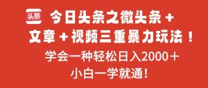 今日头条之微头条+文章+视频三重暴力玩法,学会一种轻松日入2000+,…-副业严选