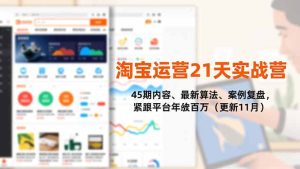 淘宝运营21天实战营，45期内容、最新算法、案例复盘，紧跟平台年入百万(更新11月-副业严选