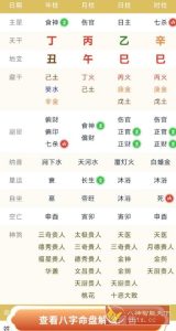 周易八字排盘测算1.1.6高级版-副业严选