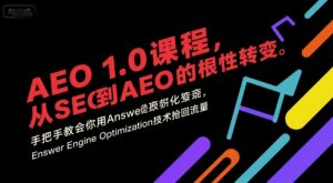 AEO 1.0 课程，从SEO到AE0的基命性转变，手把手教会你用AnswerEngineOptimization技术抢回流量(更新)-副业严选