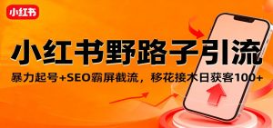 小红书野路子引流，暴力起号+SEO霸屏截流，移花接木日获客100+-副业严选