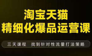 猫课子幽·淘宝天猫精细化爆品运营【音频+字幕+文档】(9月12-14杭州线下课)-副业严选