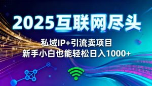 2025网创尽头王炸项目!私域 IP + 精准引流,新手小白在家躺赚日入 1000+-副业严选