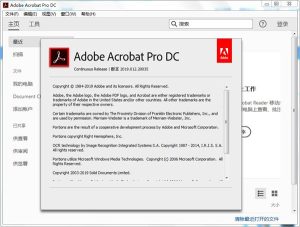 Acrobat Pro DC 2025.001.20937绿色版-副业严选