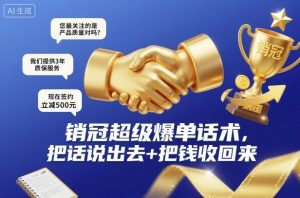 销冠超级爆单话术，把话说出去+把钱收回来-副业严选