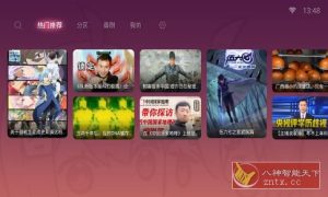 BV 第三方哔哩TV版v0.3.8-副业严选