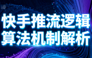 万三·快手短视频带货-副业严选