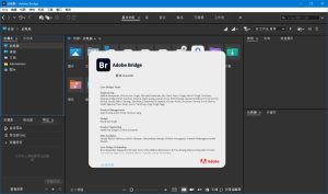 Adobe Bridge 2026 v16.0.0.63 高级版-副业严选
