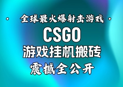 【年底大揭秘】基于全球最火爆的射击CSGO游戏挂G搬砖，日入5张+，震撼公开 - 副业严选-副业严选