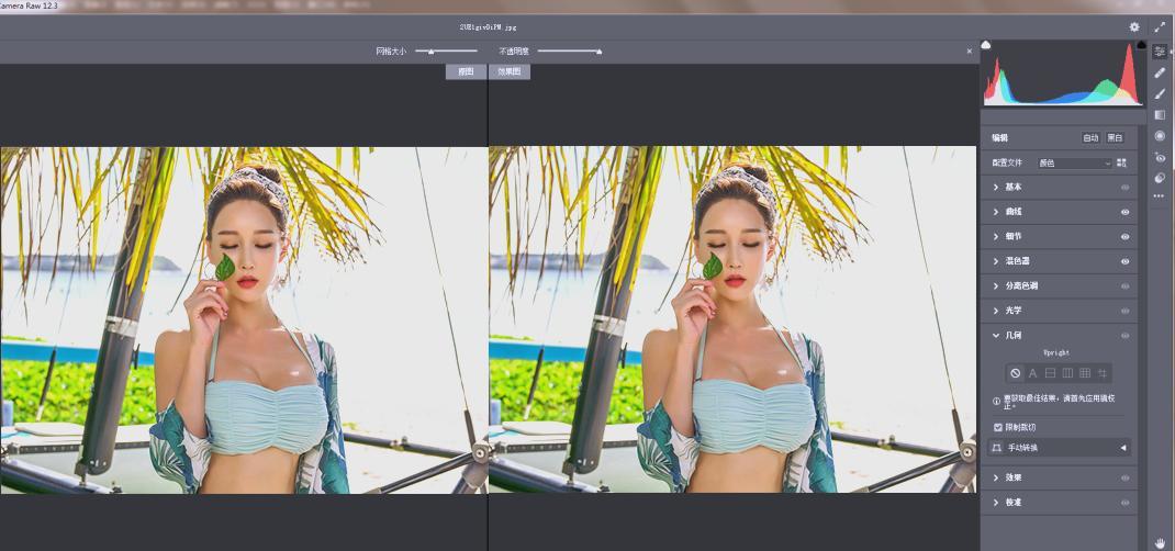 Adobe Camera Raw(RAW处理工具)v18.0.0中文版 - 副业严选-副业严选