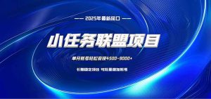 小任务联盟项目:一台电脑每天只需10分钟,轻松简单稳定-副业严选