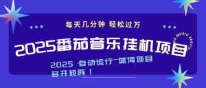 2025最新挂机番茄音乐项目，每天几分钟，日入1000＋-副业严选