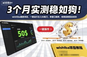 3个月实测稳如狗！wishlba最新项目，一键运行日入50美刀，单窗口躺挣，保姆级教程全给你【揭秘】-副业严选