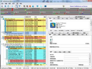 进程监控工具Task Explorer v1.7.1-副业严选