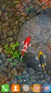 Water Garden Live Wallpaper 锦鲤3D动态壁纸2.05专业版-副业严选