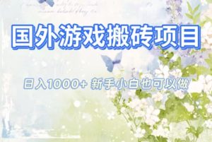 国外游戏搬砖项目，日入1k+，全自动解放双手，新手小白也可做【揭秘】-副业严选