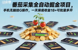 番茄采集全自动掘金项目，手机无脑挂G操作，一天保底收益18+可批量多开【揭秘】-副业严选