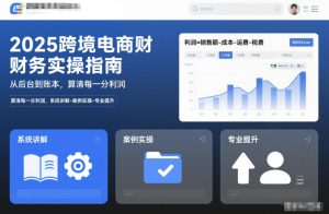 2025跨境电商财务实操指南，从后台到账本，算清每一分利润，系统讲解-案例实操-专业提升-副业严选