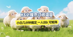 小程序订阅项目_小白几分钟搞定，一人88米，可矩阵(已测到账)-副业严选