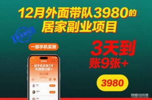 12月外面带队3980的居家副业项目，一部手机实测3天到账9张+，首发教程【揭秘】-副业严选