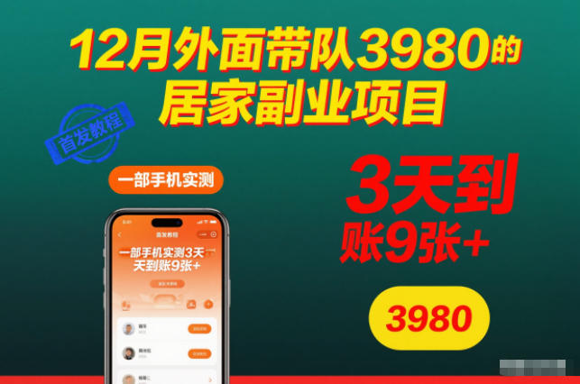 12月外面带队3980的居家副业项目，一部手机实测3天到账9张+，首发教程【揭秘】 - 副业严选-副业严选