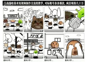 卤蛋哈基米短视频制作全流程教学，条条爆款，疯狂吸粉几十万-副业严选