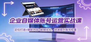 企业自媒体账号运营实战课:定位打造+ 爆款内容+数据优化,快速提升账号权重-副业严选