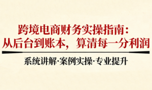 2025跨境电商财务实操指南-副业严选