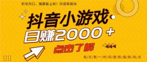 2025年爆火的抖音小游戏项目，一部手机日入2000+-副业严选