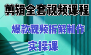 冰糖老师·AI视频制作实操课程(更新11月)-副业严选