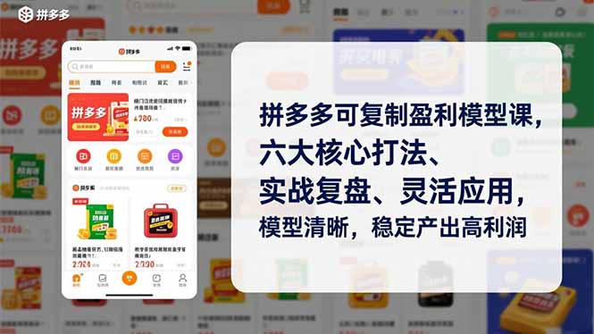 拼多多可复制盈利模型课，六大核心打法、实战复盘、灵活应用，模型清晰，稳定产出高利润 - 副业严选-副业严选