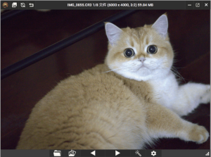 PicView看图工具v4.1.0绿色版-副业严选