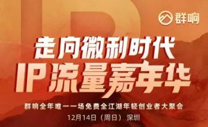 2025ip嘉年华万人12月14深圳线下课，走向微利时代，IP流量嘉年华，实操性极强的商业干货课-副业严选