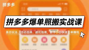 拼多多爆单照搬实战课,类目玩法、活动选择、避坑指南,新手小白快速出单赚钱-副业严选